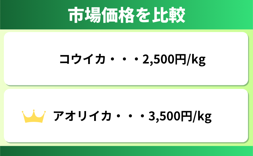 コウイカとアオリイカの値段の違い